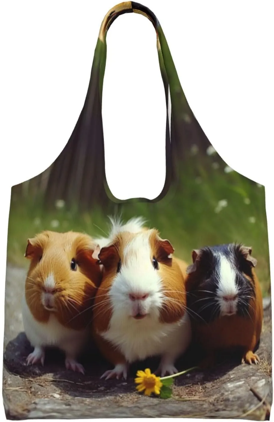 Canvas Tote Bag Reusable Grocery Bags Lightweight Handbag Northern Lights Tote Bag for Shopping Cloth Bags