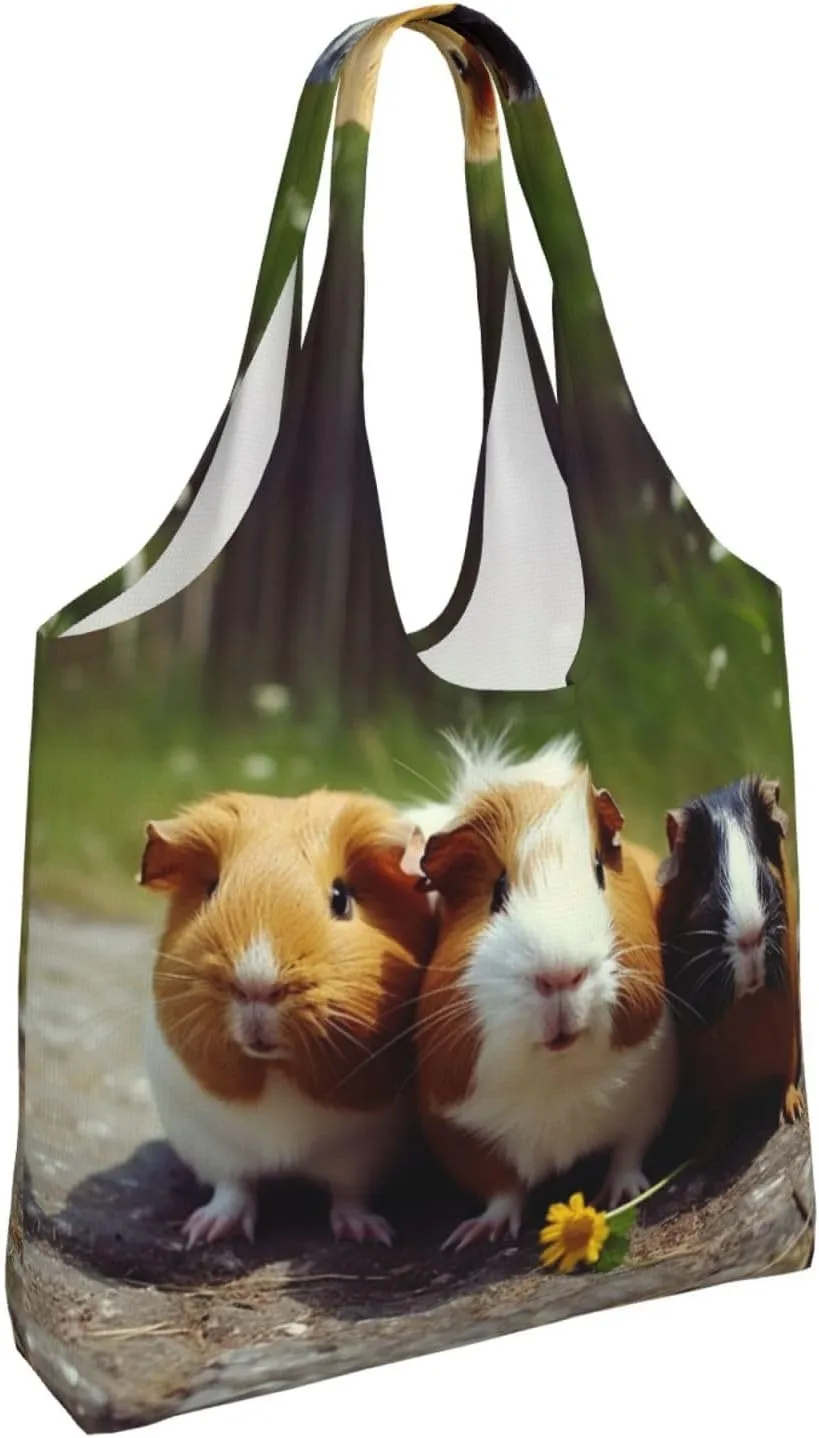 Canvas Tote Bag Reusable Grocery Bags Lightweight Handbag Northern Lights Tote Bag for Shopping Cloth Bags